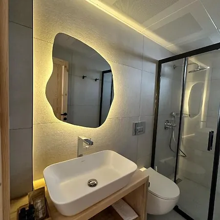 فندق Audo