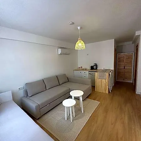 Audo